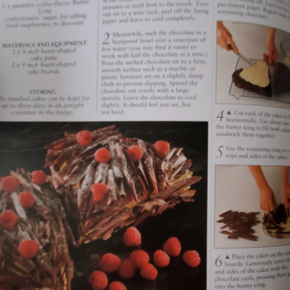 Best Ever Cake Decorating Cookbook